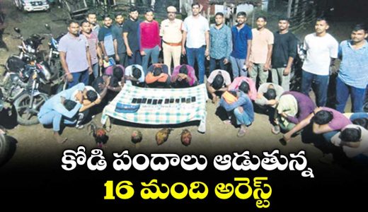 16-arrested-in-mancherial-cockfighting-raid-18-bikes-and-cash-seized_4s9nqMru5S
