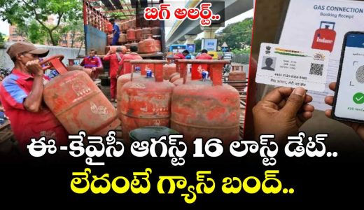 lpg-e-kyc-deadline-alert-complete-verification-by-august-16-to-avoid-losing-gas-subsidy_y9M1zqEChH