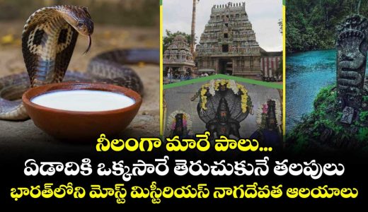 somewhere-the-milk-turns-blue-while-others-open-only-once-a-year-5-amazing-snake-temples-in-india_mUjxCvHLn4