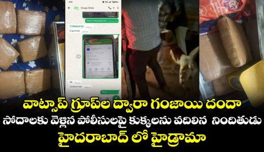 whatsapp-group-drug-racket-busted-eagle-force-seizes-14-kgs-of-ganja-in-hyderabad_SINlwTkjJ5
