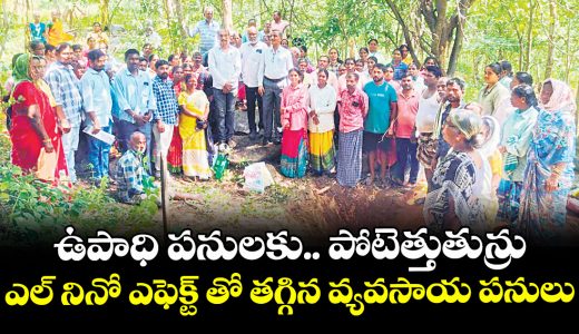 elnino-effect-shortage-agricultural-works-all-time-record-upadadi-hami-workers_AdmSgFf42M