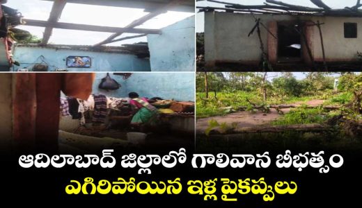 heavy-winds-cause-havoc-in-adilabad-district-roofs-blown-away-and-trees-uprooted_SwKBNUPuEO