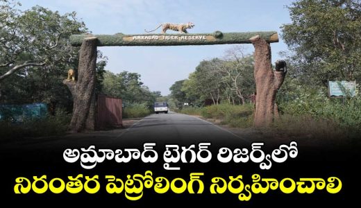 pccf-vinay-kumar-orders-continuous-patrolling-in-amrabad-tiger-reserve_QpHGLVqctW