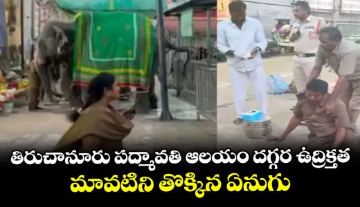 tension-at-tiruchanur-padmavati-temple_CJAfG1ilTr