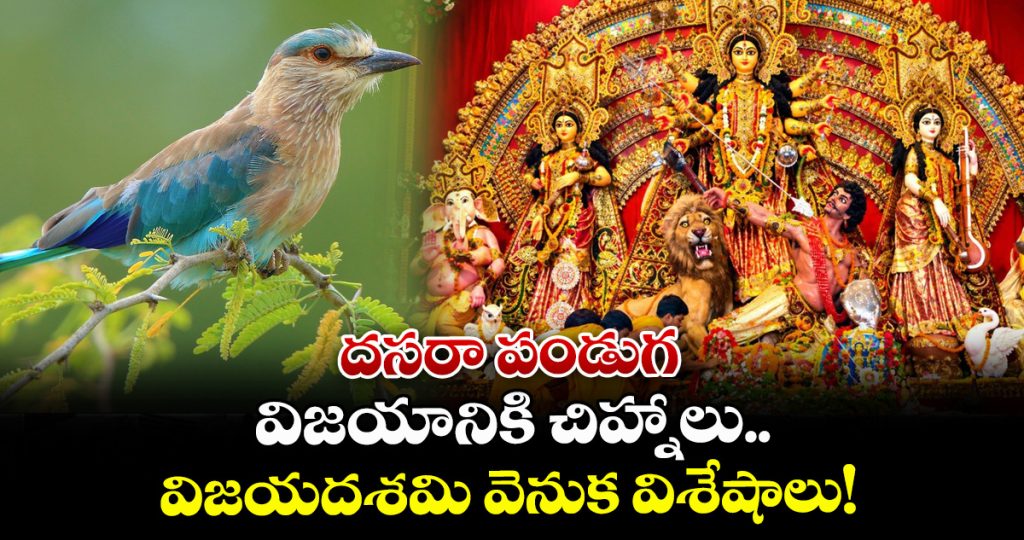 vijayadasami-festival-significace-special-story_2RV9dhErGK
