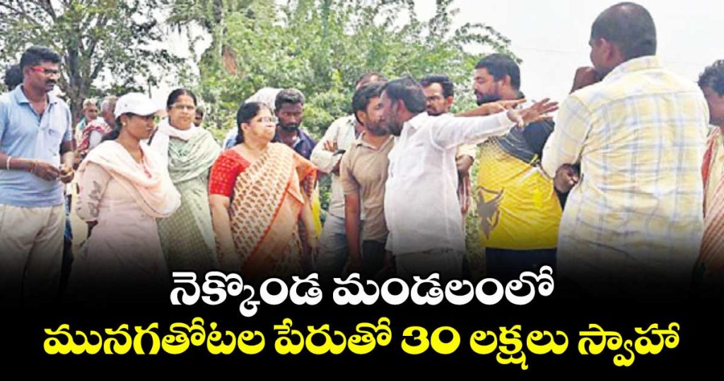 30-lakh-embezzlement-alleged-in-drumstick-plantation-scheme-in-nekkonda-mandal_RniJpVW0T3