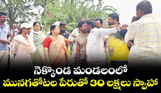 30-lakh-embezzlement-alleged-in-drumstick-plantation-scheme-in-nekkonda-mandal_RniJpVW0T3