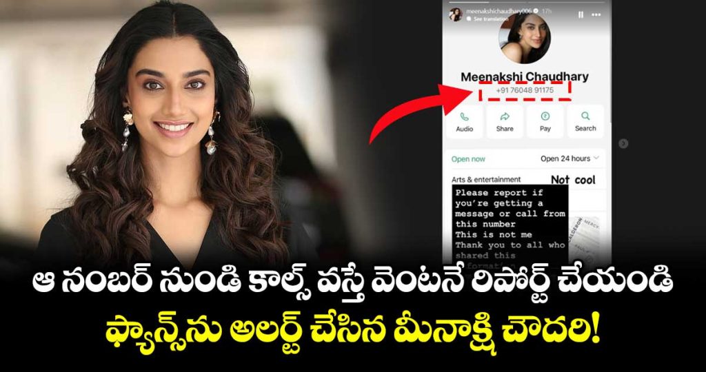 actress-meenakshi-chaudhary-warns-fans-about-an-imposter-shares-fake-number-on-instagram_gO9xGF3St2