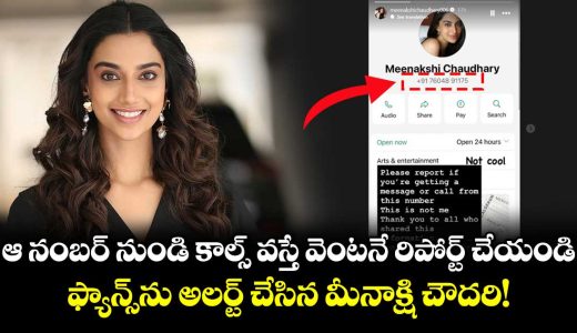actress-meenakshi-chaudhary-warns-fans-about-an-imposter-shares-fake-number-on-instagram_gO9xGF3St2