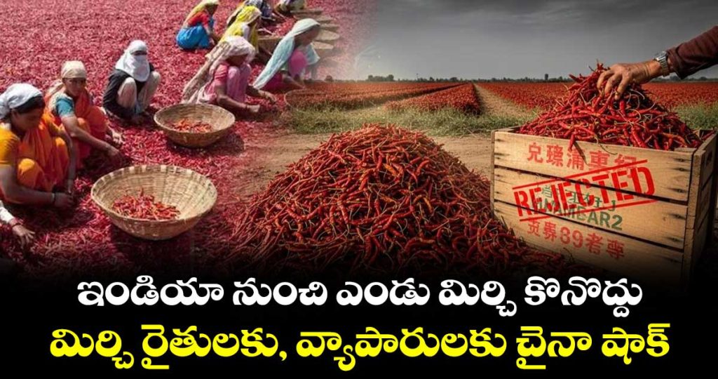 after-rice-china-rejects-indian-chilli-shipments-trade-tussle-afresh_au2tfUnxTE