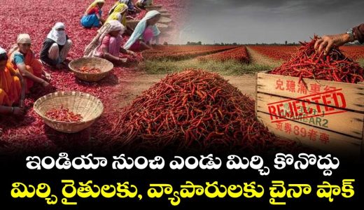 after-rice-china-rejects-indian-chilli-shipments-trade-tussle-afresh_au2tfUnxTE