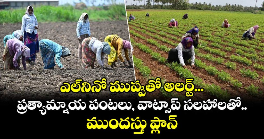 agriculture-department-has-prepared-a-crop-plan-keeping-el-nio-conditions-in-mind_jT6udqtO4L