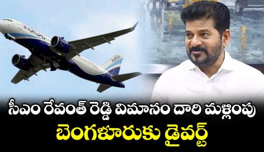 cm-revanth-reddys-flight-was-diverted-to-bengaluru_MPrfHZt7Bx
