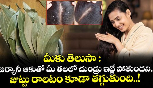 did-you-know-biryani-leaves-can-help-get-rid-of-dandruff-and-reduce-hair-fall_E9VDS4peY5
