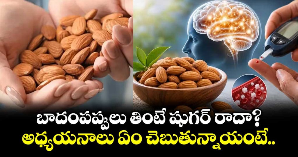 eating-almonds-daily-may-boost-memory-and-help-control-blood-sugar-in-prediabetes-study-finds_tlYpOzhrki