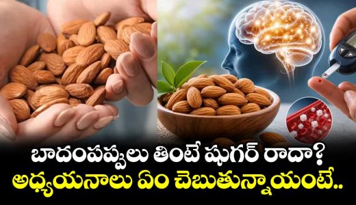 eating-almonds-daily-may-boost-memory-and-help-control-blood-sugar-in-prediabetes-study-finds_tlYpOzhrki