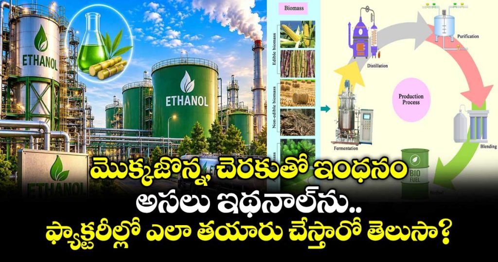 how-is-ethanol-made-step-by-step-breakdown-of-biofuel-production-from-corn-and-cane_Pio9jOeqKX