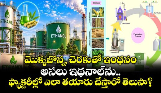 how-is-ethanol-made-step-by-step-breakdown-of-biofuel-production-from-corn-and-cane_Pio9jOeqKX
