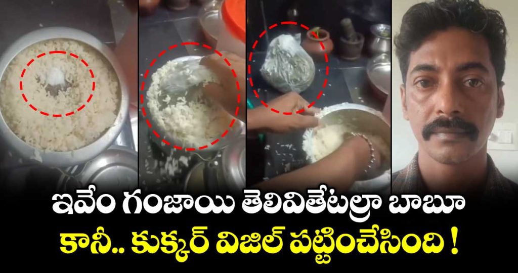 kerala-thrissur-man-panicked-during-police-raid-hid-400g-cannabis-in-a-pressure-cooker_SAYEC0LBH6