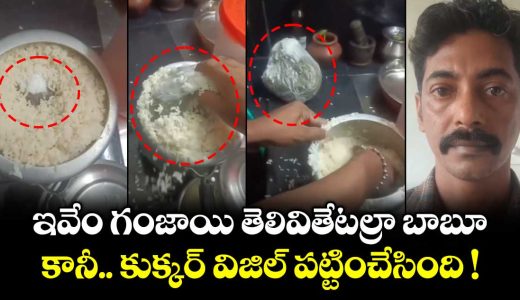 kerala-thrissur-man-panicked-during-police-raid-hid-400g-cannabis-in-a-pressure-cooker_SAYEC0LBH6