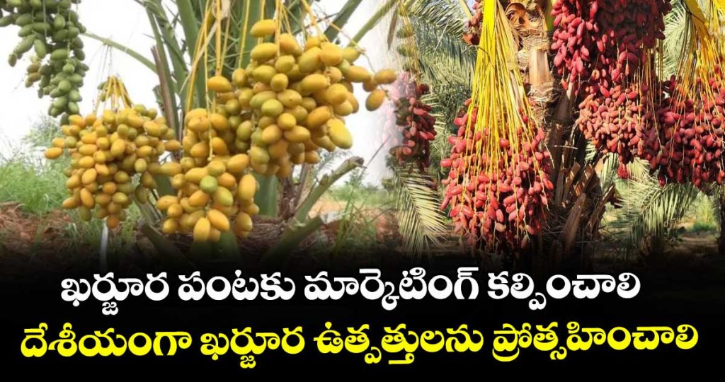 khurjara-crop-maketting-providing-request-to-professor-gopalan-vidyasagar_GpHBcPI8k9