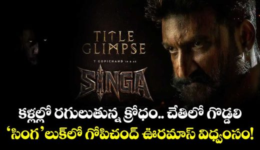 macho-star-gopichand-looks-terrifying-as-a-vengeful-panther-in-singha-glimpse_idY1G6RlzA