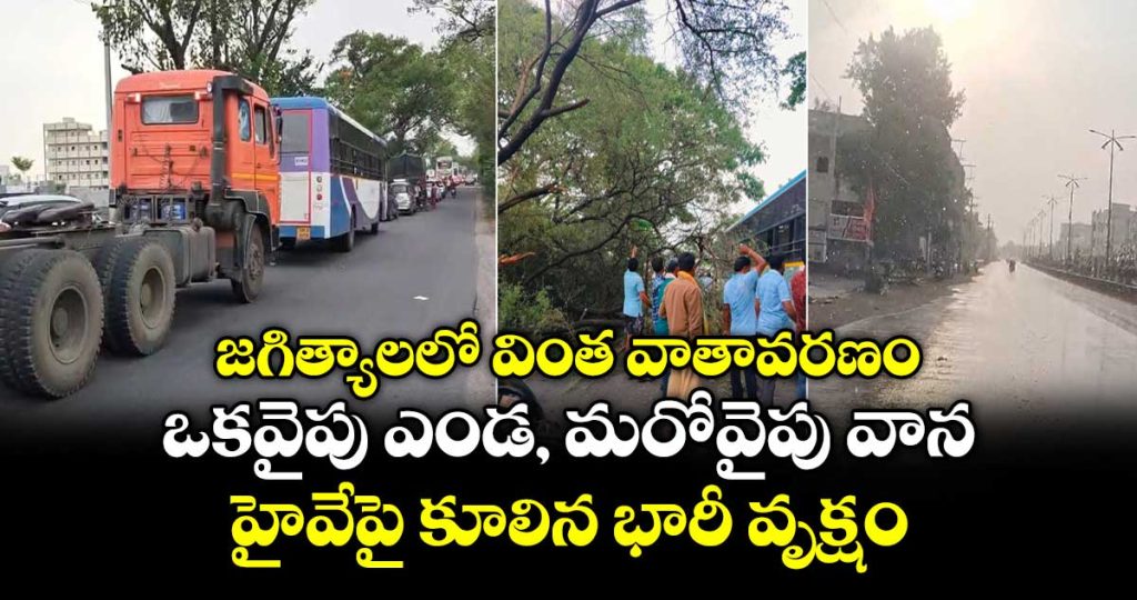 mixed-weather-in-jagtial-as-rainy-and-sunny-weather-at-a-time-with-rainbow_DnxQNSlzOy