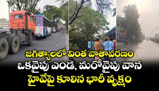 mixed-weather-in-jagtial-as-rainy-and-sunny-weather-at-a-time-with-rainbow_DnxQNSlzOy