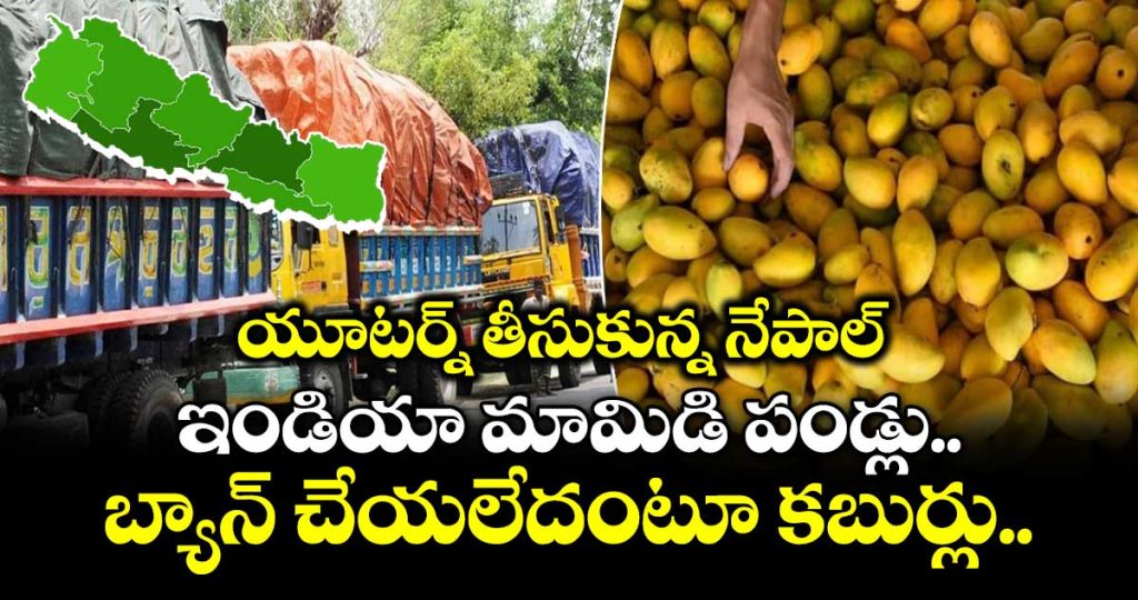 nepal-u-turn-no-ban-on-indian-mangoes-kathmandu-clarifies-imports-allowed-after-quality-checks_UyLTAweC6m