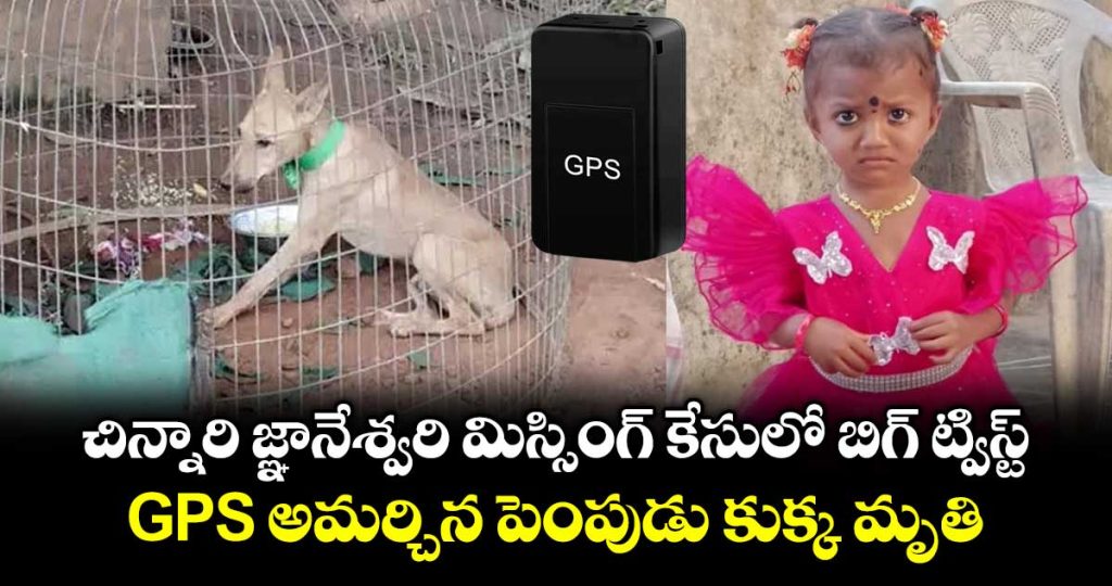 pet-dog-dies-in-kakinada-child-missing-case_vOKY6brip4