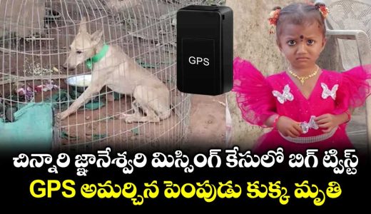 pet-dog-dies-in-kakinada-child-missing-case_vOKY6brip4