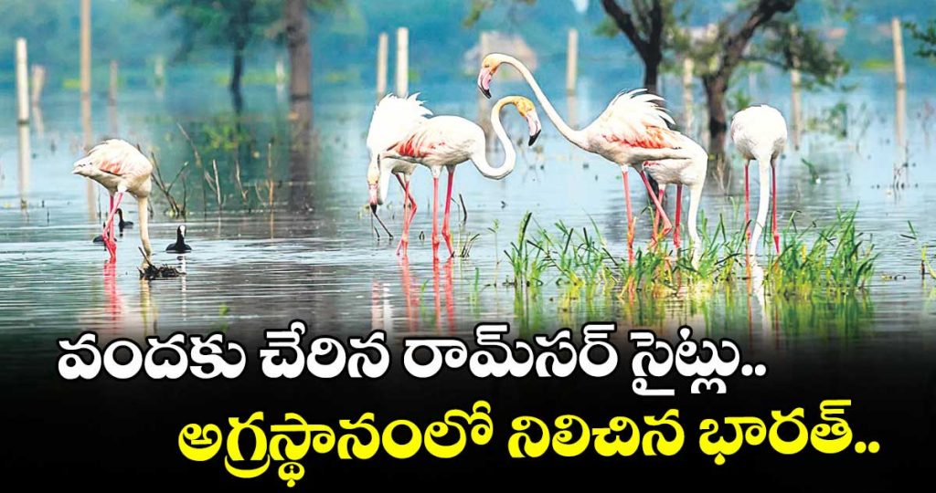 ramsar-sites-reach-100-india-in-tops-list_lMpwo09BP7