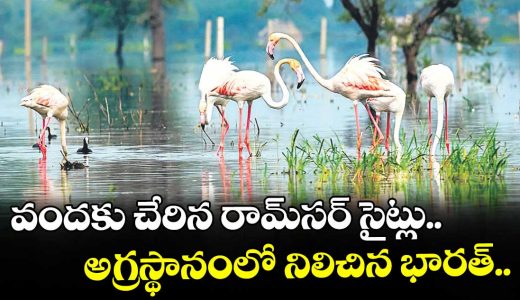 ramsar-sites-reach-100-india-in-tops-list_lMpwo09BP7