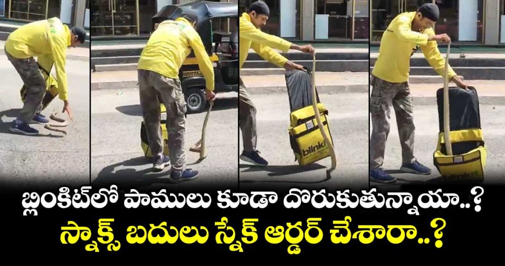 snake-suddenly-fell-from-the-bag-of-a-delivery-guy-on-a-busy-street-in-mumbai-in-broad-daylight-1_RBLYP4rlW3