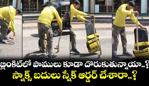 snake-suddenly-fell-from-the-bag-of-a-delivery-guy-on-a-busy-street-in-mumbai-in-broad-daylight-1_RBLYP4rlW3