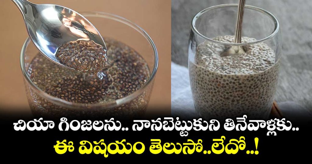 when-is-the-best-time-to-eat-chia-seeds-_Hf61GKZilJ