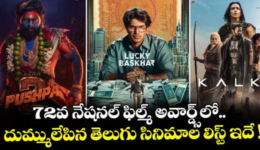 72nd-national-film-awards-telugu-movies-list_Ax1KVQo523
