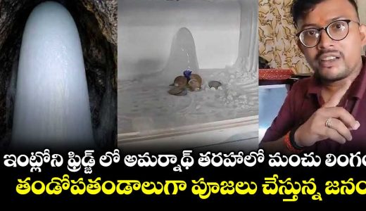 agrashivling-like-ice-formation-found-inside-refrigerator-devotees-gather-as-worship-begins-video_nhuKSGvr9c