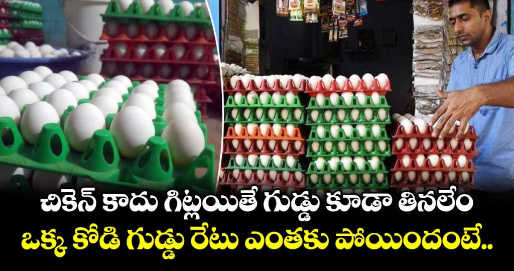egg-prices-hit-record-high-in-telangana-and-andhra-pradesh_DSUtmRJW0a