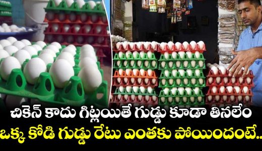 egg-prices-hit-record-high-in-telangana-and-andhra-pradesh_DSUtmRJW0a