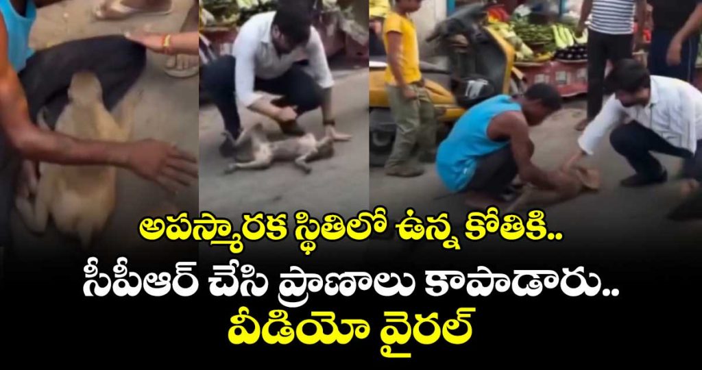 heroic-moment-two-men-save-the-monkeys-life-by-performing-cpr_p3kBRr0oZY
