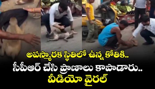 heroic-moment-two-men-save-the-monkeys-life-by-performing-cpr_p3kBRr0oZY