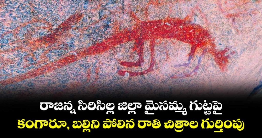 identification-of-rock-art-resembling-kangaroos-and-lizards-in-rajanna-siricilla-district-mysamma-gutta_ISWQq28EpT