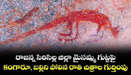 identification-of-rock-art-resembling-kangaroos-and-lizards-in-rajanna-siricilla-district-mysamma-gutta_ISWQq28EpT