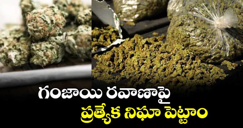 khammam-police-intensify-ganja-crackdown-seize-450-kg-narcotics-in-six-months_fLBcu3PD80