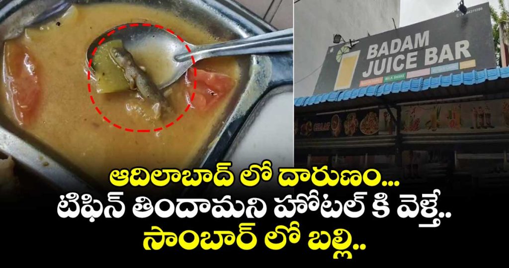 lizard-in-sambar-in-hotel-at-adilabad_X1Z9juGBq0