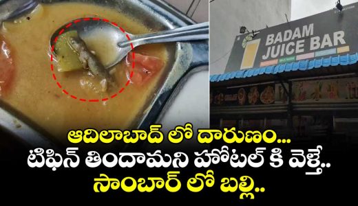 lizard-in-sambar-in-hotel-at-adilabad_X1Z9juGBq0