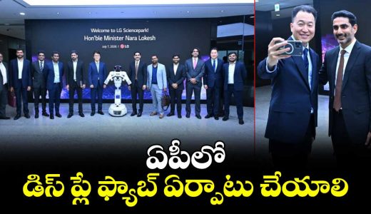 lokesh-about-establishing-display-fab-in-ap_0JE3GWYc96