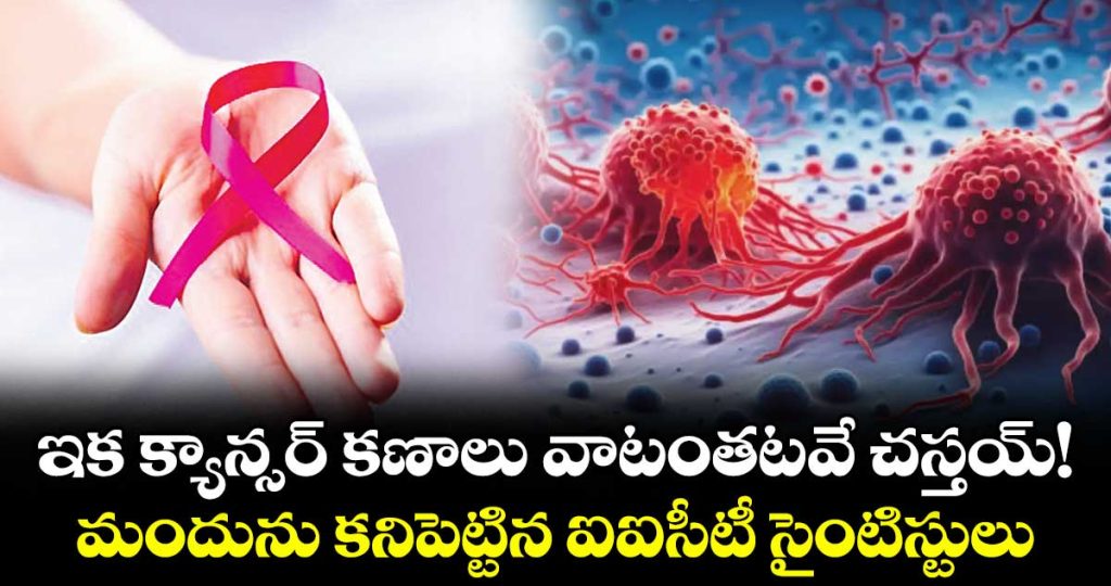 now-cancer-cells-will-die-on-their-own-iict-scientists-discover-the-drug_hS0aq5VCGo