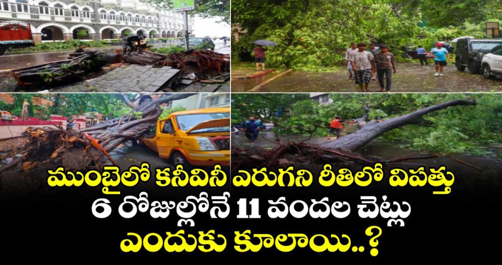over-1100-in-just-6-days-mumbais-tree-fall-count-surpasses-entire-monsoon-figures_QdlDkYh1EK